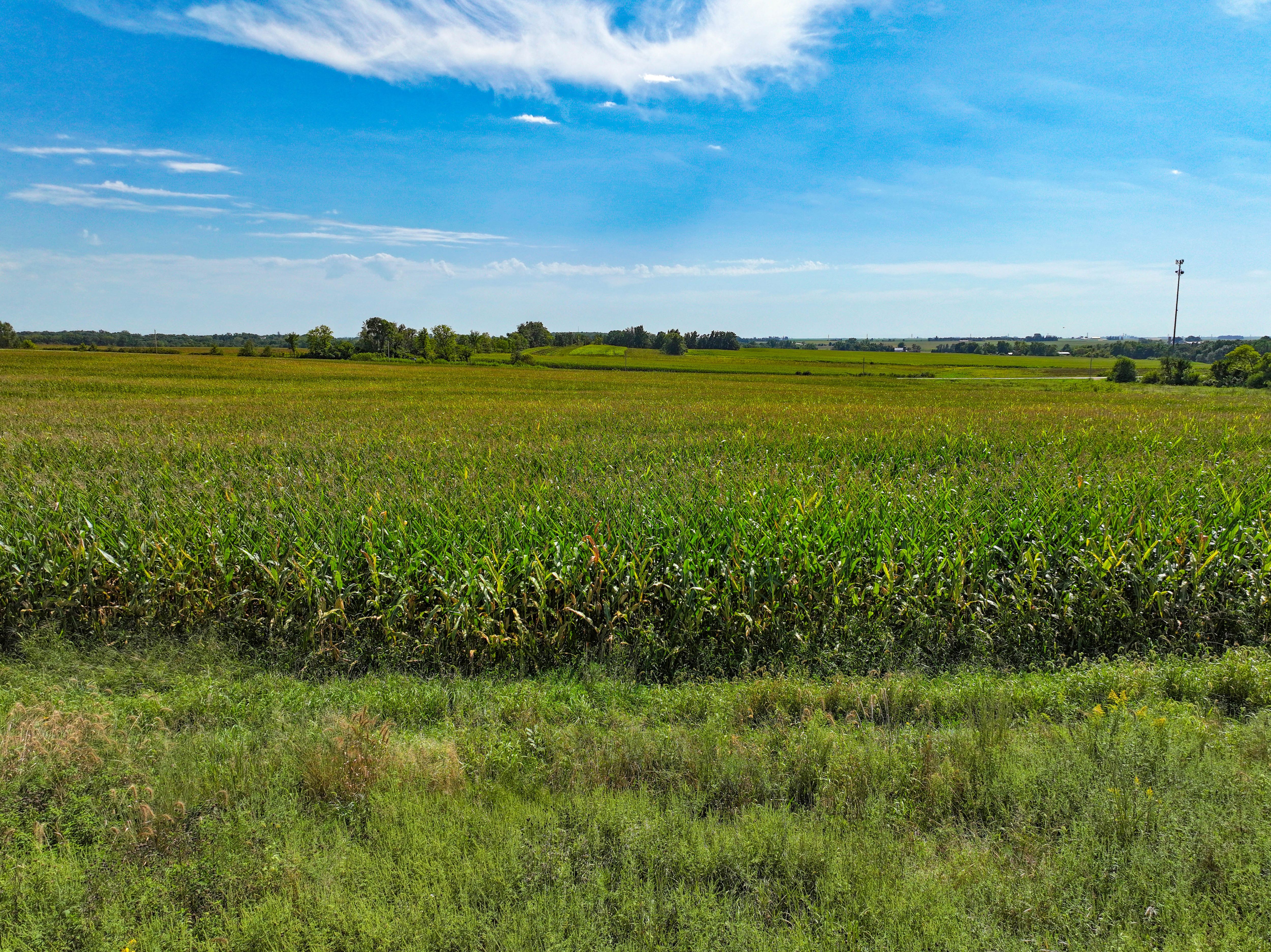 Listing Photo: 11_Delaware Co IA Land For Sale